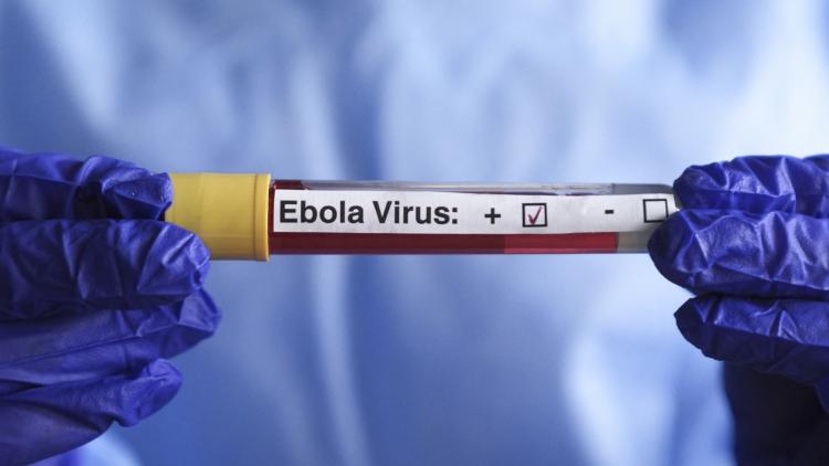 Ebola en RDC : face à une épidémie hors de contrôle, MSF appelle à une mobilisation internationale d’urgence