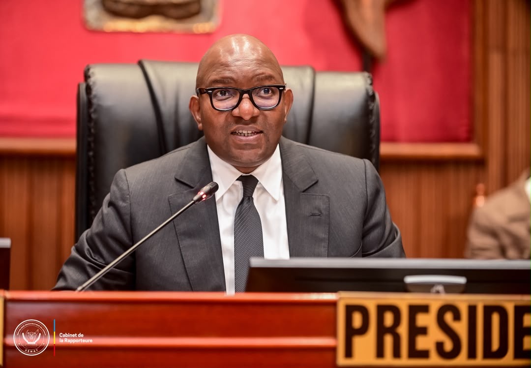 RDC : le Sénat adopte le projet de loi de finances rectificative 2026 - Image 2