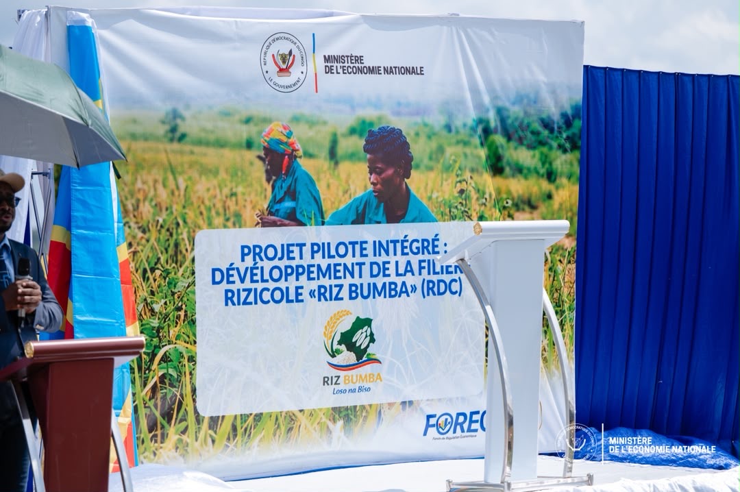 RDC-Mongala : Daniel Mukoko Samba lance le projet « Riz Bumba, Loso na Biso » pour relancer la production rizicole locale - Image 2