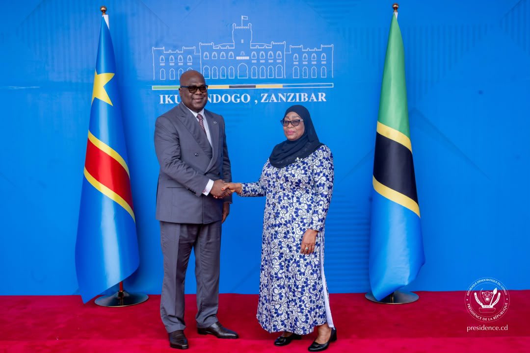RDC–Tanzanie : économie, sécurité et connectivité au cœur d’un partenariat renforcé - Image 2