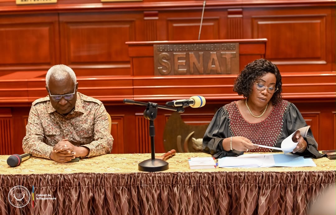 Sénat : trois nouveaux présidents installés à la tête des commissions permanentes - Image 3