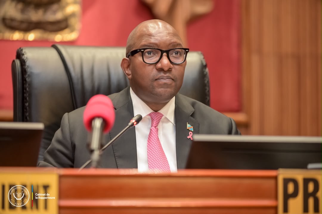 RDC : le Sénat adopte le projet de loi portant ratification de l’ordonnance-loi sur l’activité statistique, en prélude au deuxième recensement - Image 2