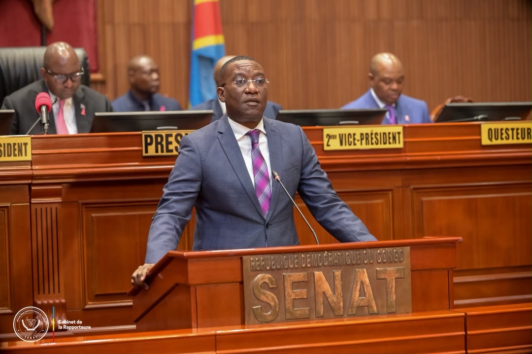 RDC : le Sénat adopte le projet de loi portant ratification de l’ordonnance-loi sur l’activité statistique, en prélude au deuxième recensement - Image 3
